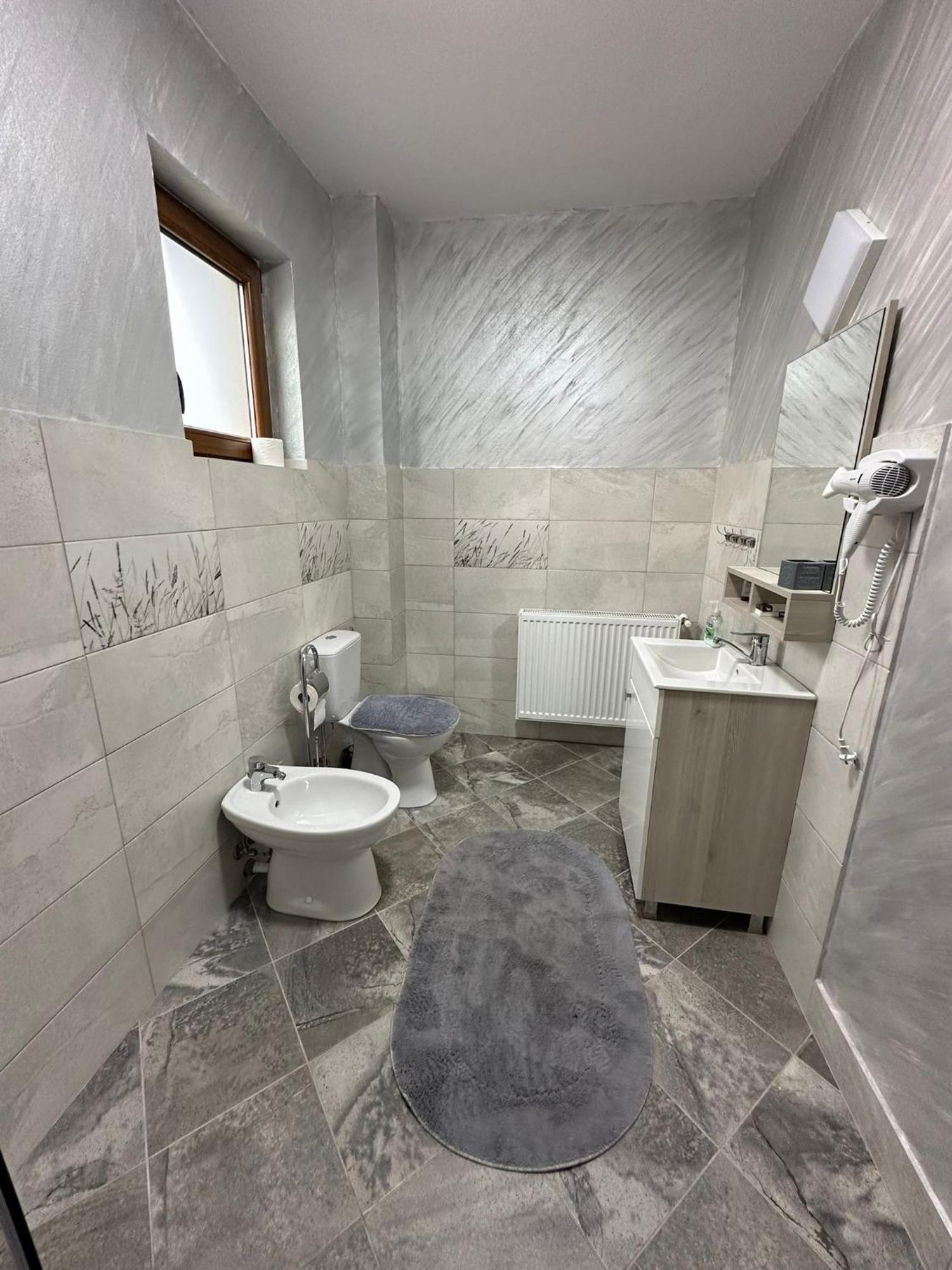 Casa Dacului Hotel Petrova ภายนอก รูปภาพ